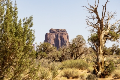 Monument Valley TP June 2025